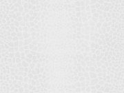 01301750