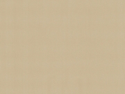 03885-10